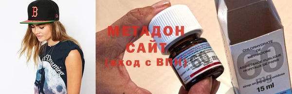прущие грибы Алзамай