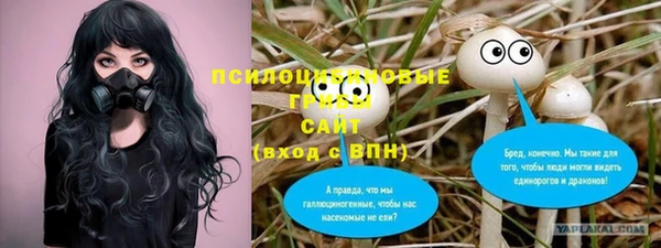 кокс Алексин