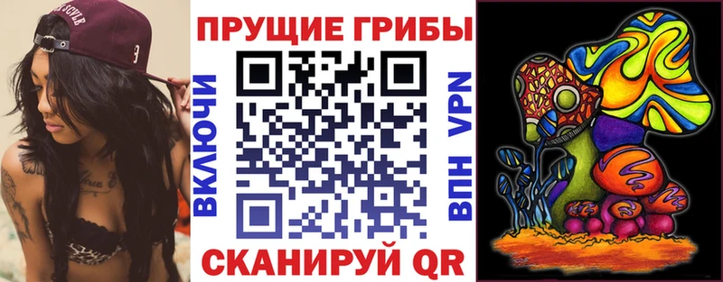 Псилоцибиновые грибы прущие грибы купить закладку Муравленко
